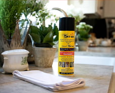 Bee's Wax Furniture Polish Available at Furniture Mall