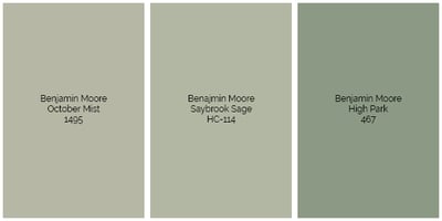 BenMoore Millennial Green