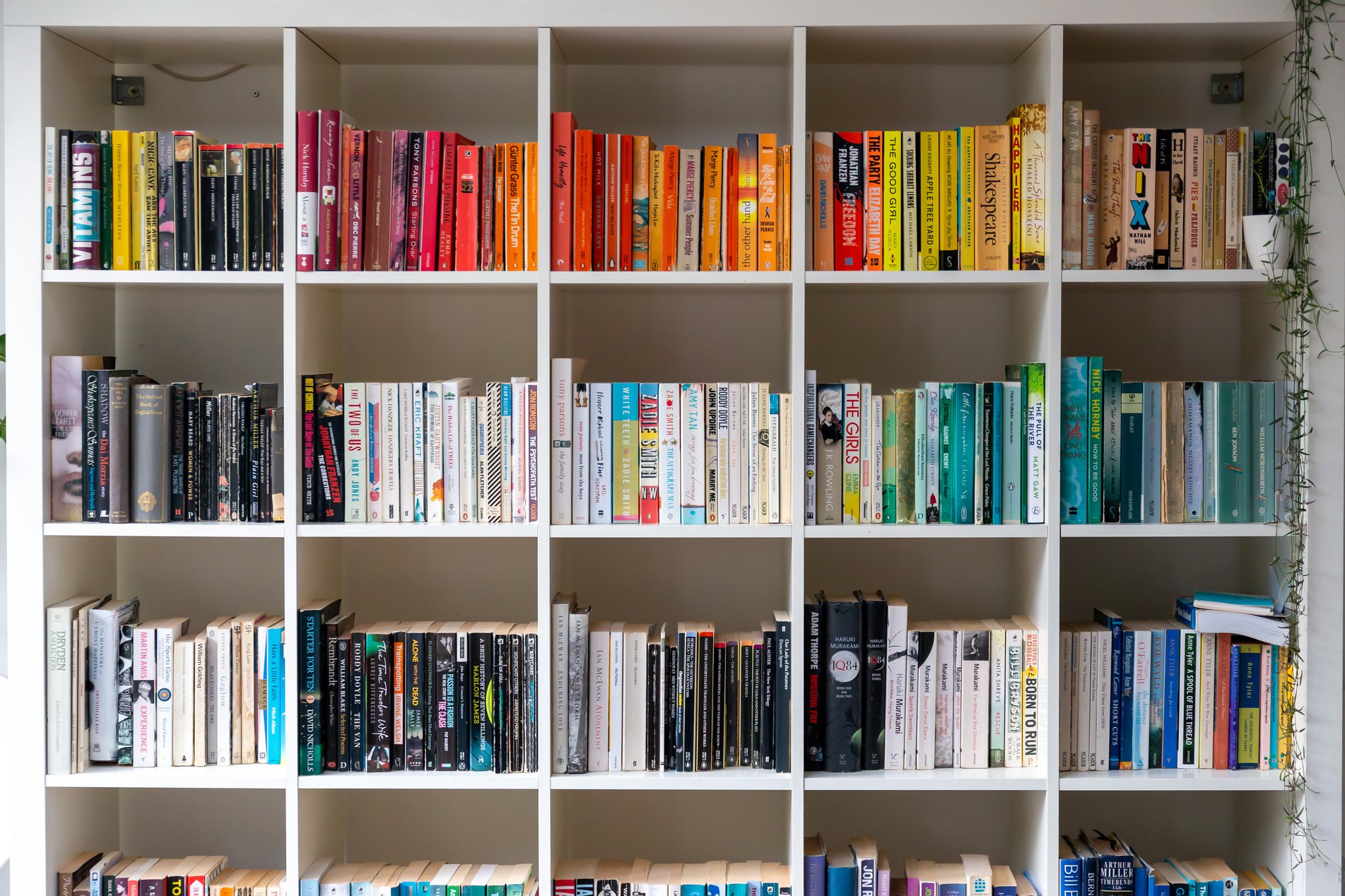 decorating bookshelves