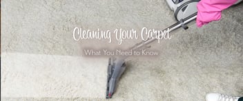 Person cleaning a carpet with a vacuum cleaner and carpet cleaning products