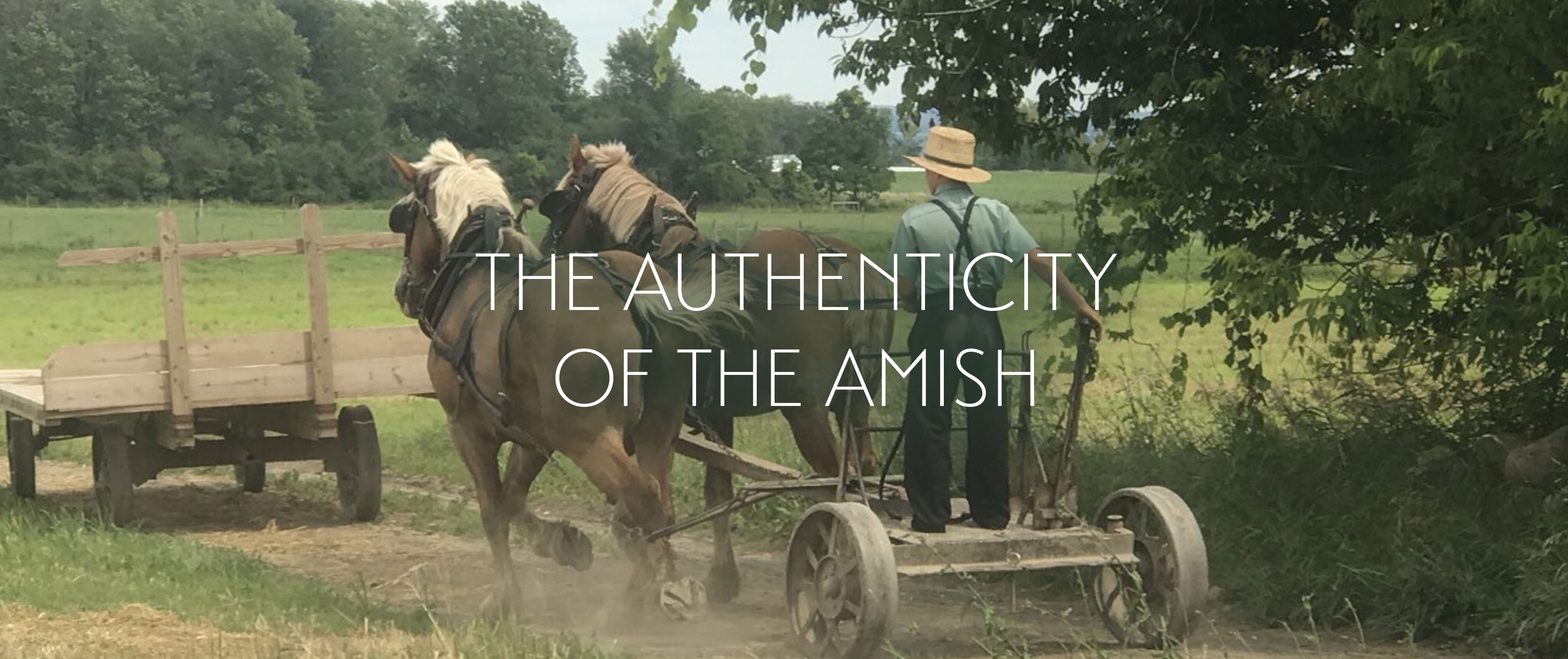 The Authenticity of the Amish