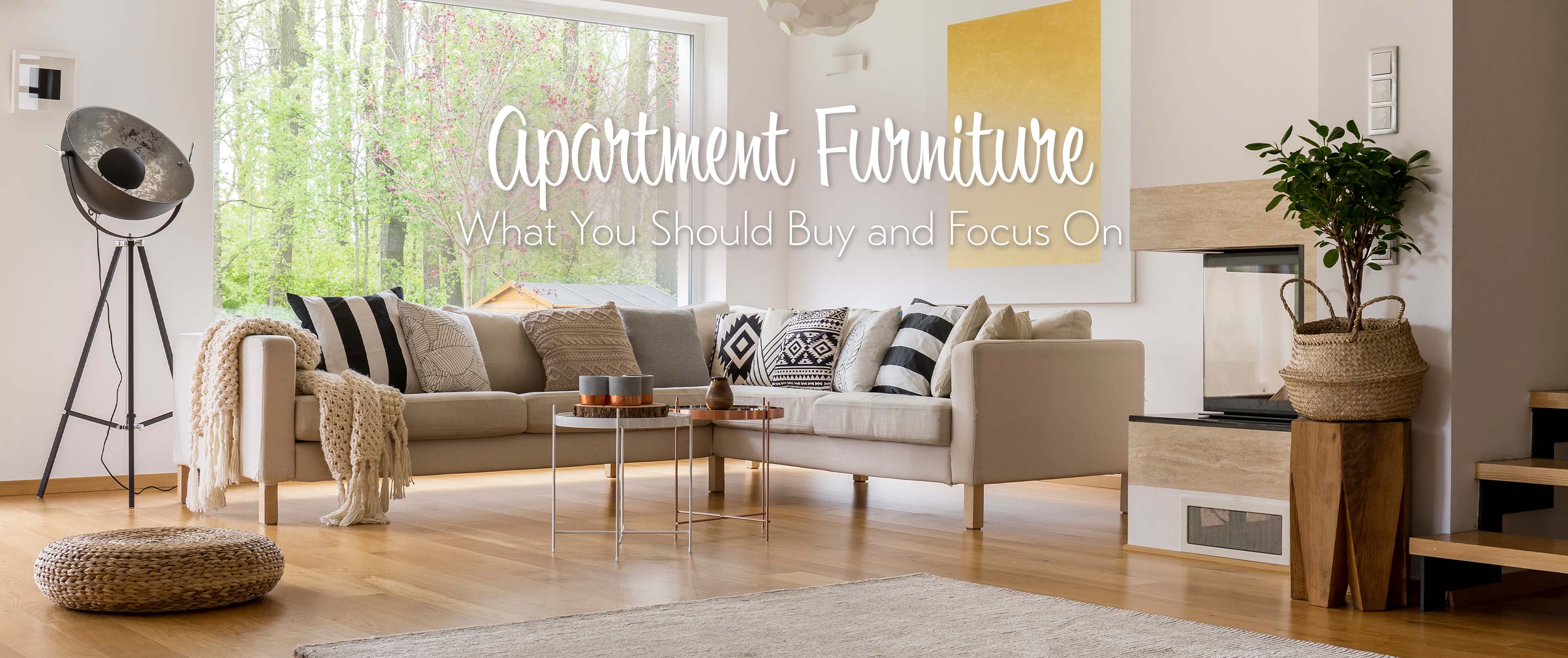 Apartment Furniture: What You Should Get and Focus On