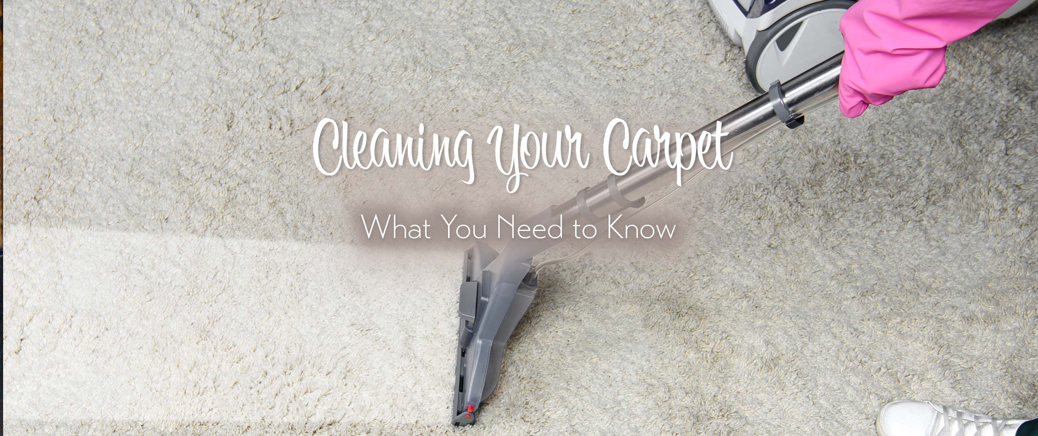 Person cleaning a carpet with a vacuum cleaner and carpet cleaning products