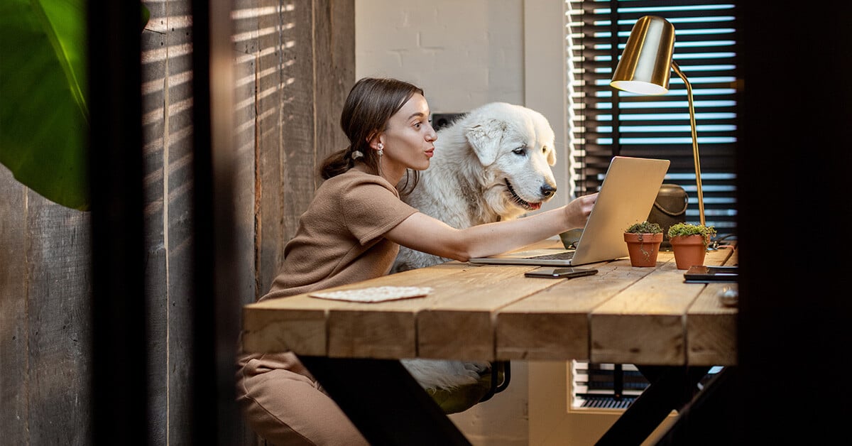 How to Choose the Perfect Desk for Your Home Office